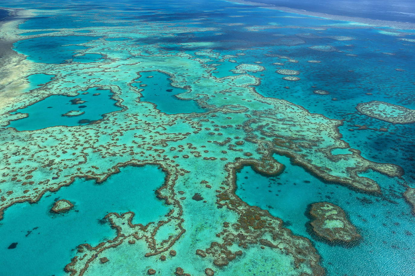 La Gran Barrera de Coral evita su inclusión en la lista del patrimonio mundial «en peligro» de la Unesco. El arrecife, que es Patrimonio Mundial desde 1981, preocupa a Naciones Unidas por el deterioro de su ecosistema debido al cambio climático. Desde el Instituto Australiano de Ciencia Marina aseguran, sin embargo, que los corales están actualmente en «una ventana de recuperación» tras una década de deterioro por las altas temperaturas del agua y los ciclones.
