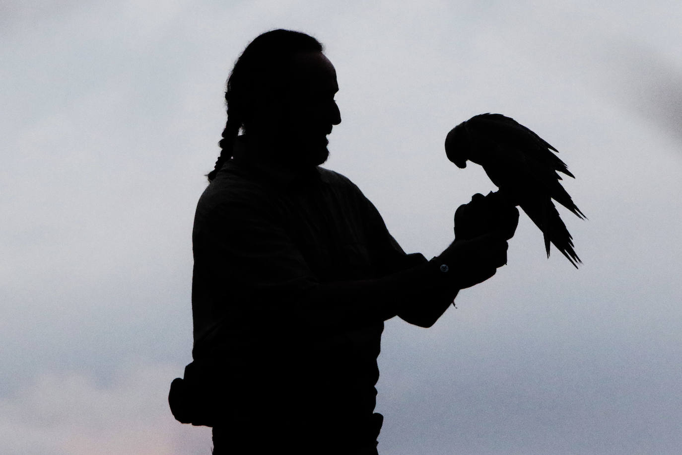 Anoche tuvo lugar la primersa sesión de Nocturnia, donde las aves rapaces ofrecieron una visita guiada a los turistas, además de una velada informativa donde los distintos búhos del grupo Aviar brillaron con luz propia bajo la atenta mirada de los espectadores. Además, durante la velada los asistentes tuvieron la ocasión de aprende run poco más sobre las costumbres y hábitos de las aves rapaces, así como los motivos por los que estas se encuentran en riesgo de extinción debido a la acción humana y el cambio climático. Una noche mágica que enseña la importancia del medioambiente.