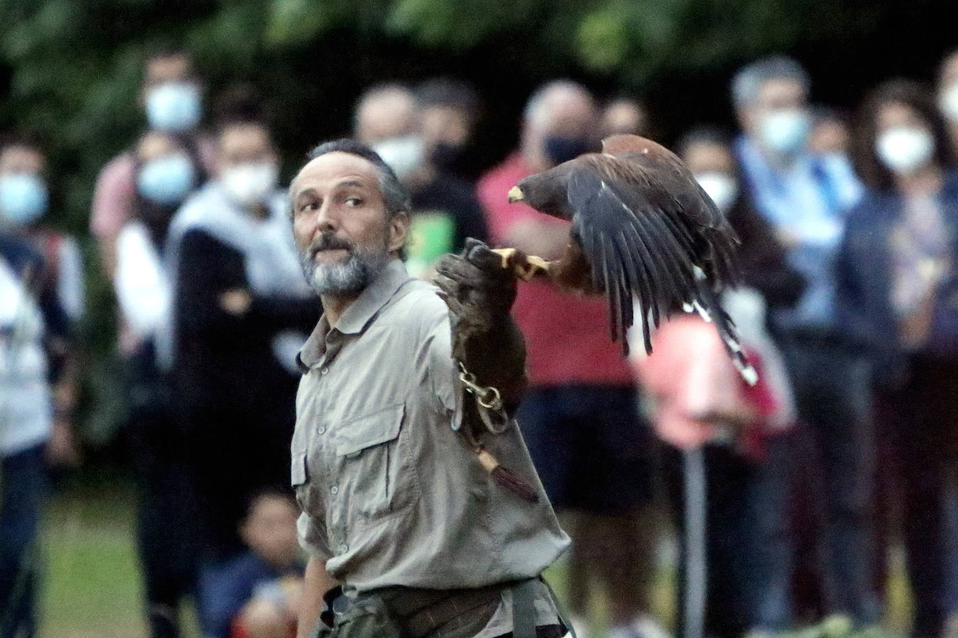 Anoche tuvo lugar la primersa sesión de Nocturnia, donde las aves rapaces ofrecieron una visita guiada a los turistas, además de una velada informativa donde los distintos búhos del grupo Aviar brillaron con luz propia bajo la atenta mirada de los espectadores. Además, durante la velada los asistentes tuvieron la ocasión de aprende run poco más sobre las costumbres y hábitos de las aves rapaces, así como los motivos por los que estas se encuentran en riesgo de extinción debido a la acción humana y el cambio climático. Una noche mágica que enseña la importancia del medioambiente.