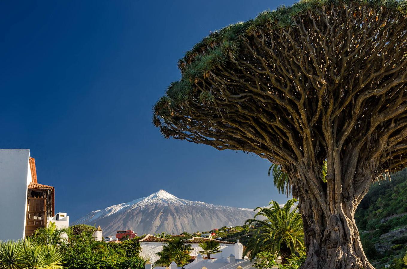 El Teide: Se trata de la tercera estructura volcánica más alta y voluminosa del planeta, tras el Mauna Loa y el Mauna Kea. Un volcán que inició su elevación hace 170.000 años. En los últimos 20.000 años la mayoría de erupciones volcánicas han ocurrido alrededor de la base del teide, ya que debido a su gran altura es difícil que la lava salga por su cúspide.