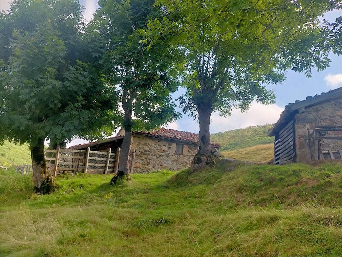 Fotos: Ruta de las Brañas de Felechosa