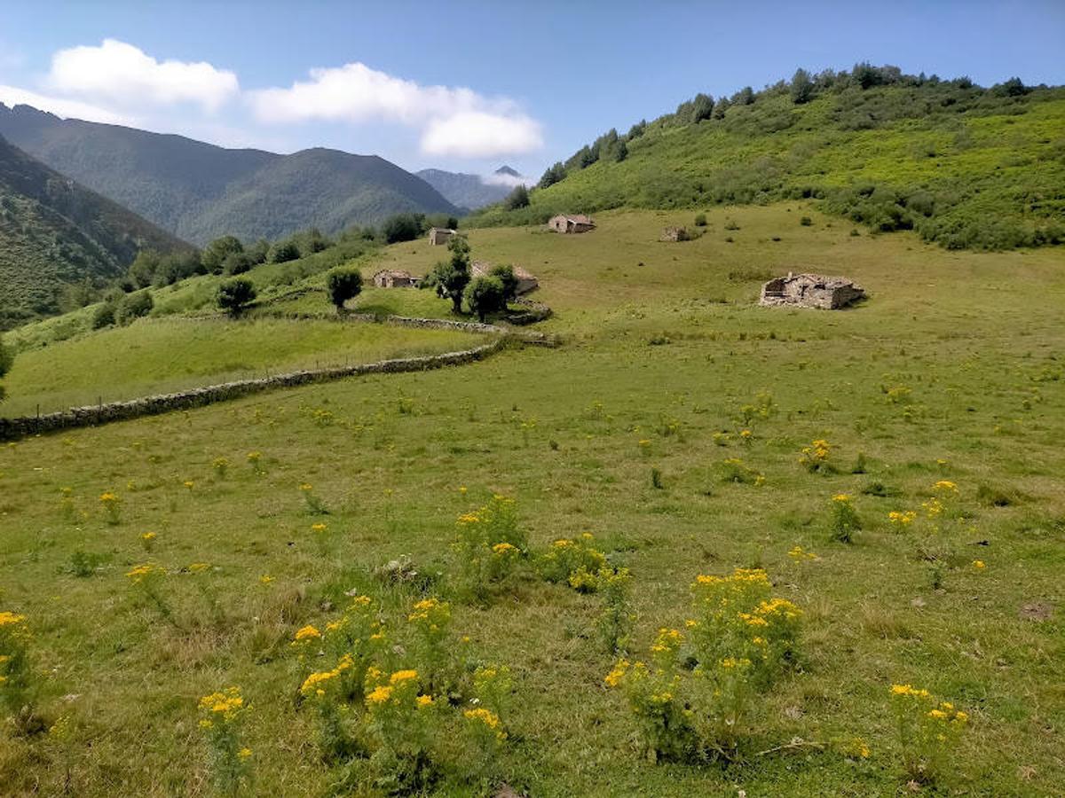 Fotos: Ruta de las Brañas de Felechosa