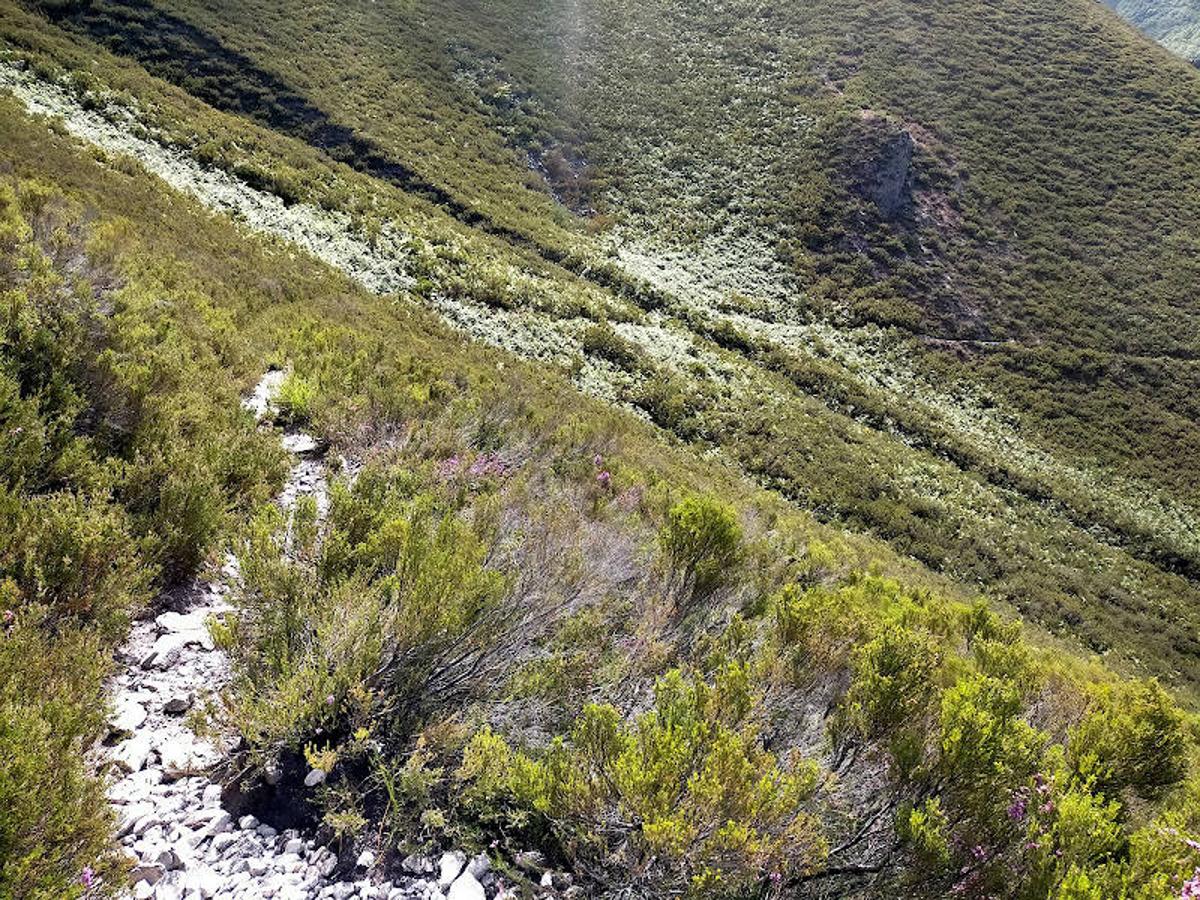 Fotos: Ruta de las Brañas de Felechosa