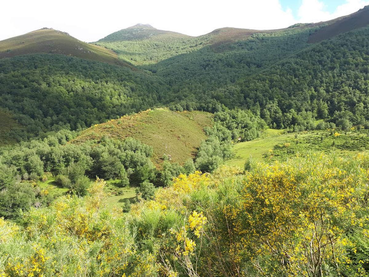 Vistas desde la ruta Vaqueira de Teverga.