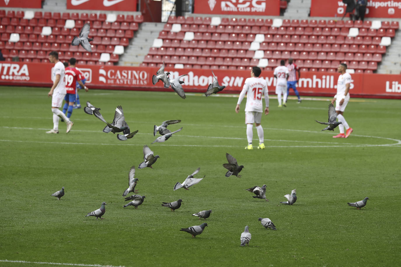 Partido del Sporting-RCD Mallorca en El Molinón.