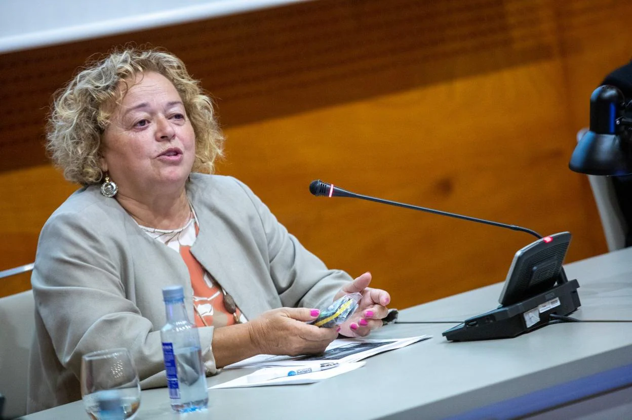 Rosa Menéndez, durante su ponencia de ayer en los Cursos de La Granda. 