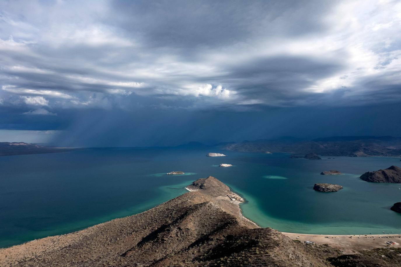 GOLFO DE CALIFORNIA - ISLAS DEL MAR CORTÉS| Hogar de 695 especies de plantas vasculares, 891 especies de peces, un 39% del número total de especies de mamíferos marinos del mundo y un tercio de las especies de cetáceos marinos del mundo.