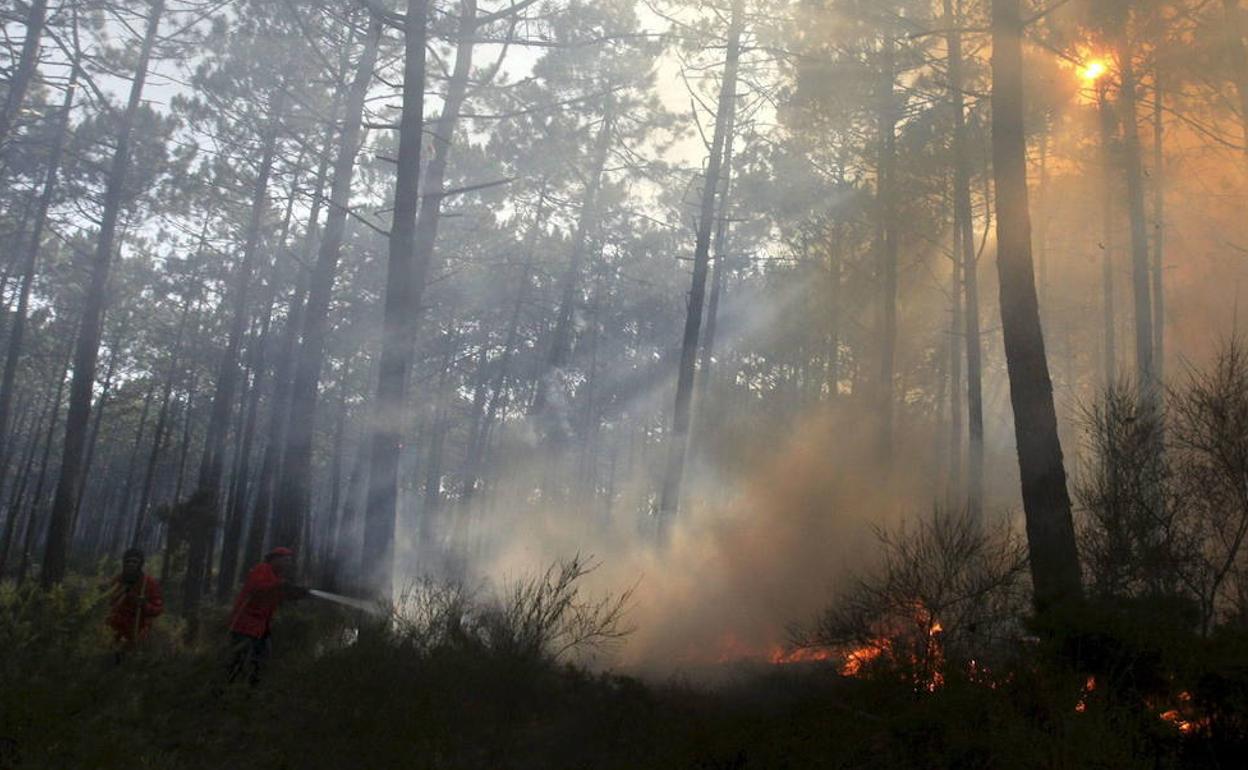 El riesgo de incendio forestal es 'alto' en 29 concejos asturianos. 