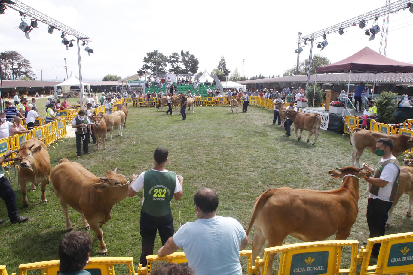 Imágenes de la feria ganadera y el mercado de productos de la huerta de Llanera