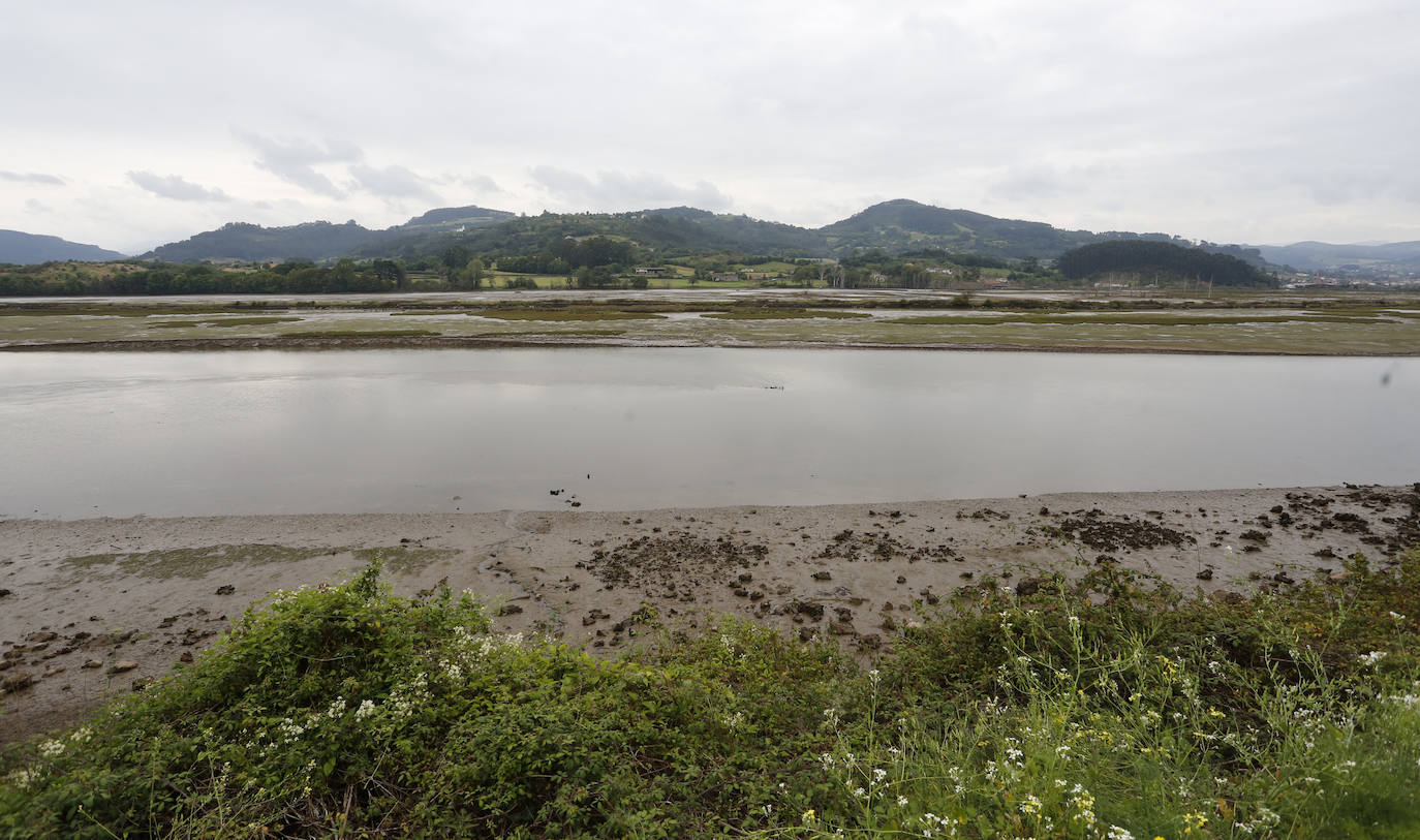 La obra de saneamiento que acabará con los vertidos a la ría de Villaviciosa se completará en dos años