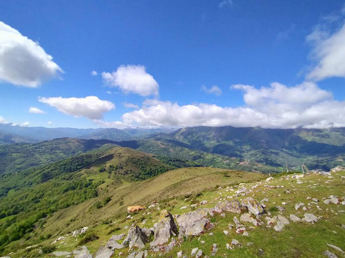 Vistas desde el Pico Llosorio (998 m).