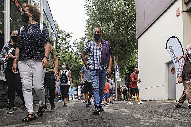 Solo faltan los gorilas