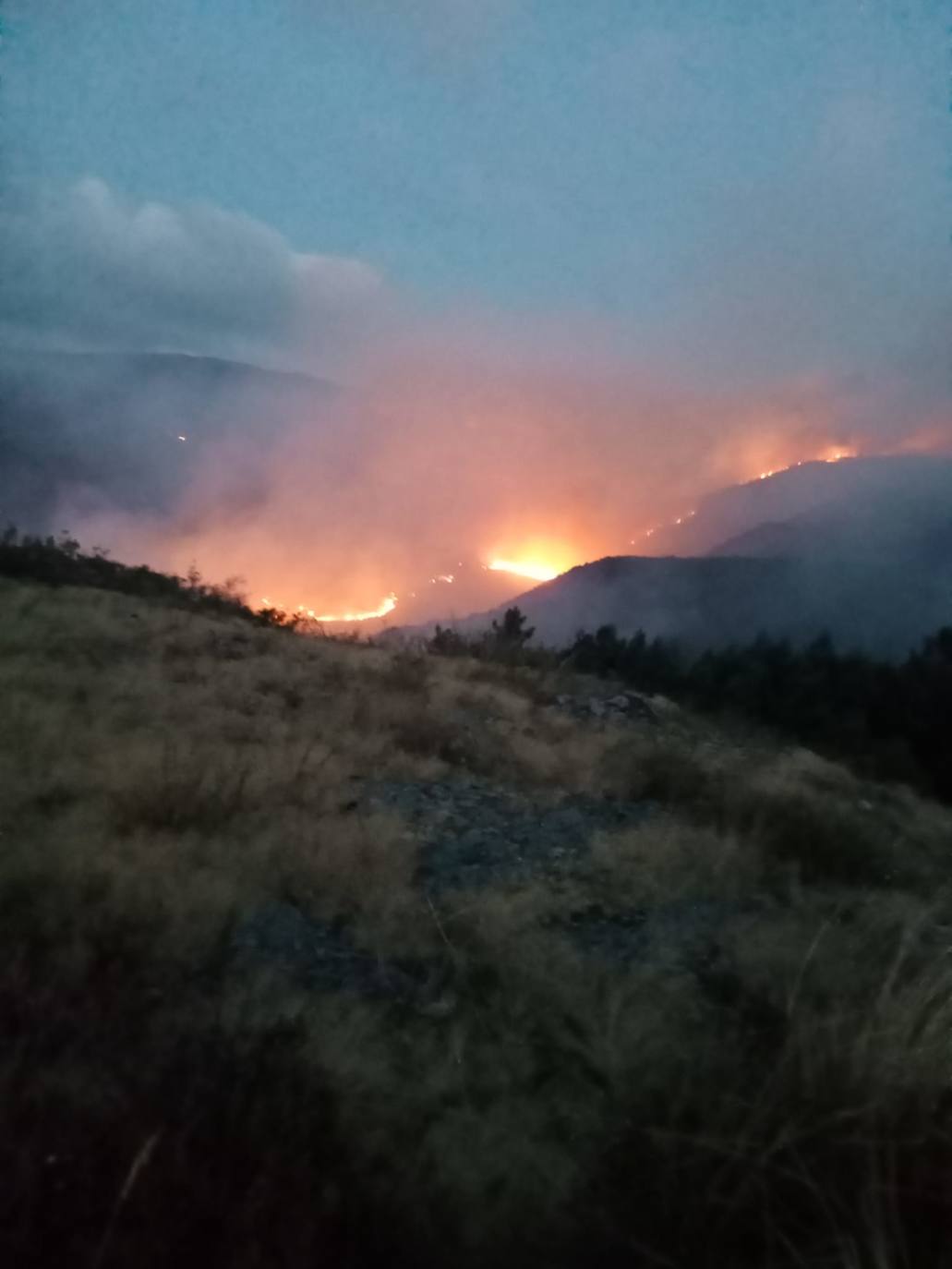 Activa el protocolo ante el fuego de Andeo, en el que intervienen personal de Guardería, bomberos y la BRIF de Tineo.
