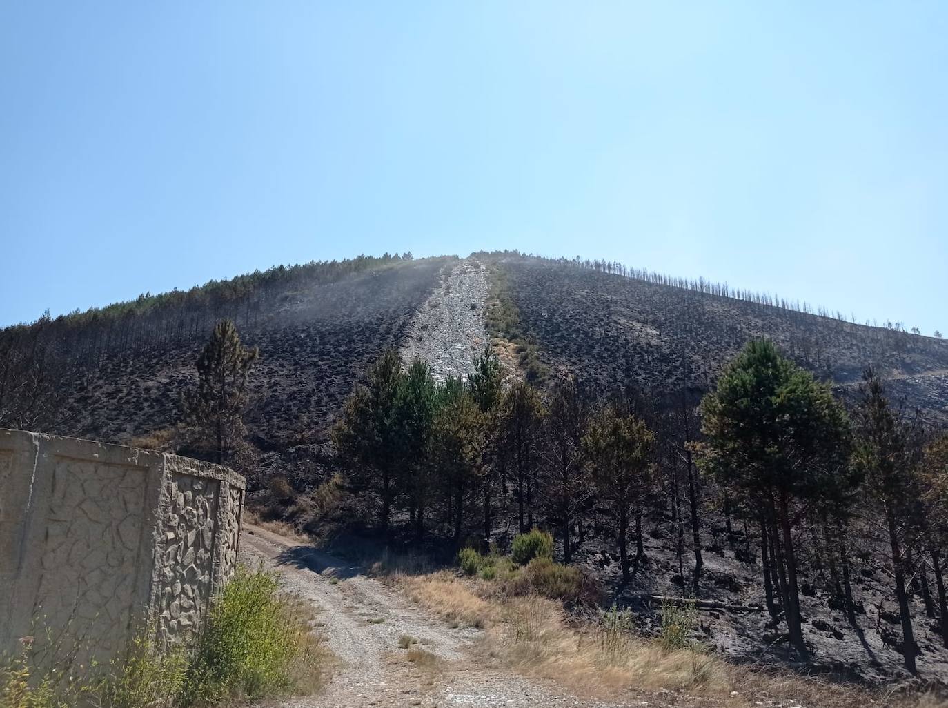 Activa el protocolo ante el fuego de Andeo, en el que intervienen personal de Guardería, bomberos y la BRIF de Tineo.