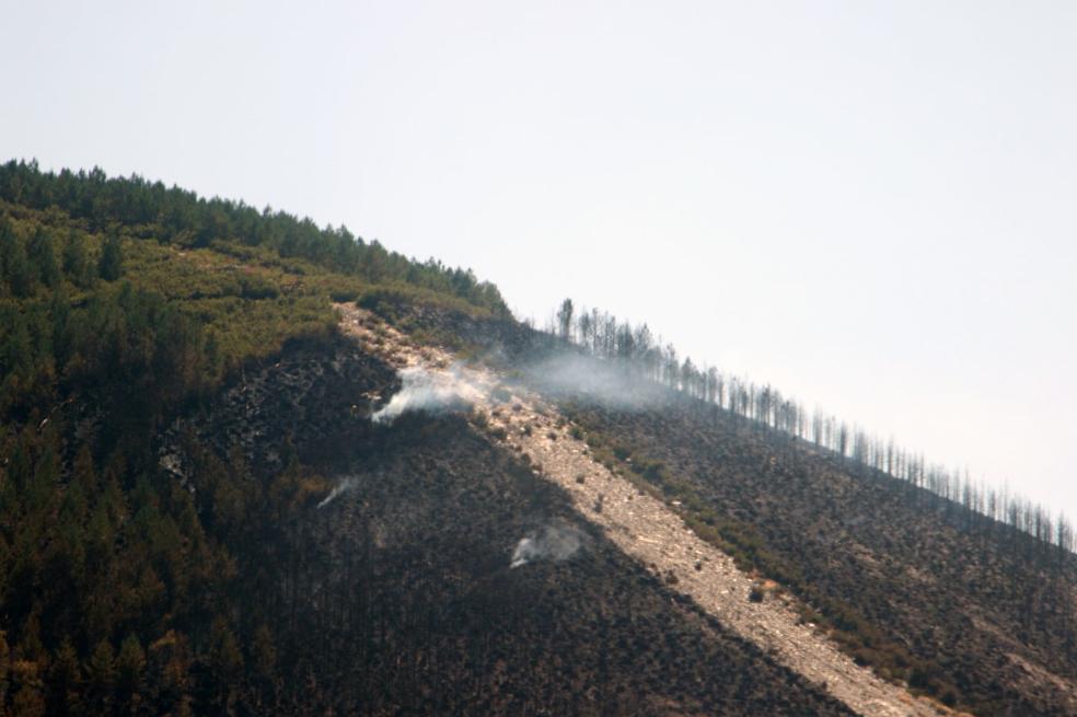 Imagen del daño causado por el fuego en el monte. 