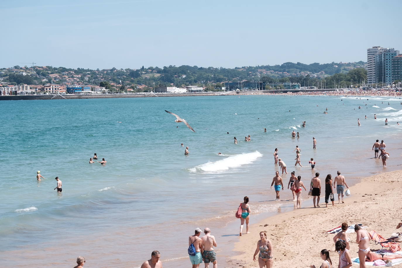 El verano se ha hecho notar este viernes en Asturias. El calor ha empujado a turistas y locales a las playas. De hecho, el arenal de San Lorenzo tuvo que cerrar durante cuatro horas porque se llenó el aforo. 