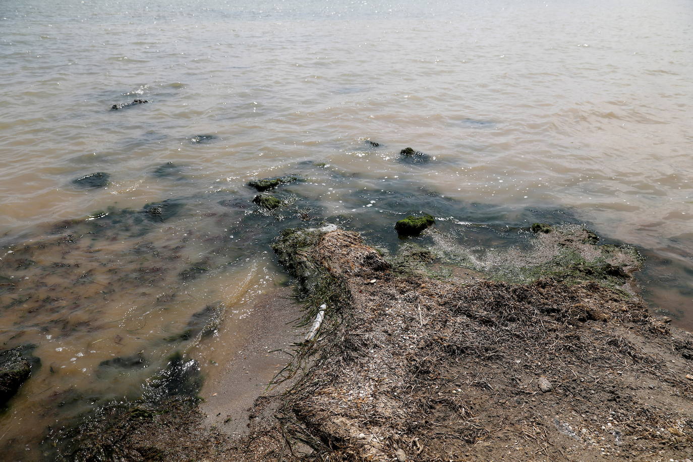 Los episodios de muertes masivas de peces delatan la degradación ecológica de la laguna murciana. Agentes del Seprona de la Guardia Civil han tomado muestras en varios puntos del Mar Menor donde han aparecido ejemplares de peces muertos desde el pasado lunes. El Gobierno regional, por su parte,mantiene un protocolo de vigilancia de agentes medioambientales en la zona sur de la laguna y realizan un control «permanente» en la zona
