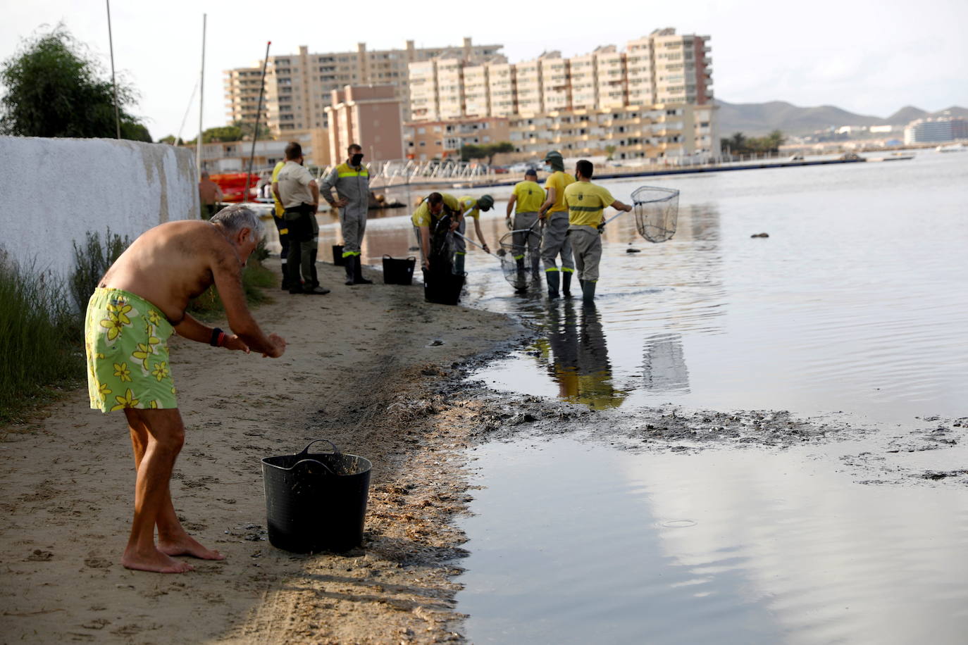 Los episodios de muertes masivas de peces delatan la degradación ecológica de la laguna murciana. Agentes del Seprona de la Guardia Civil han tomado muestras en varios puntos del Mar Menor donde han aparecido ejemplares de peces muertos desde el pasado lunes. El Gobierno regional, por su parte,mantiene un protocolo de vigilancia de agentes medioambientales en la zona sur de la laguna y realizan un control «permanente» en la zona