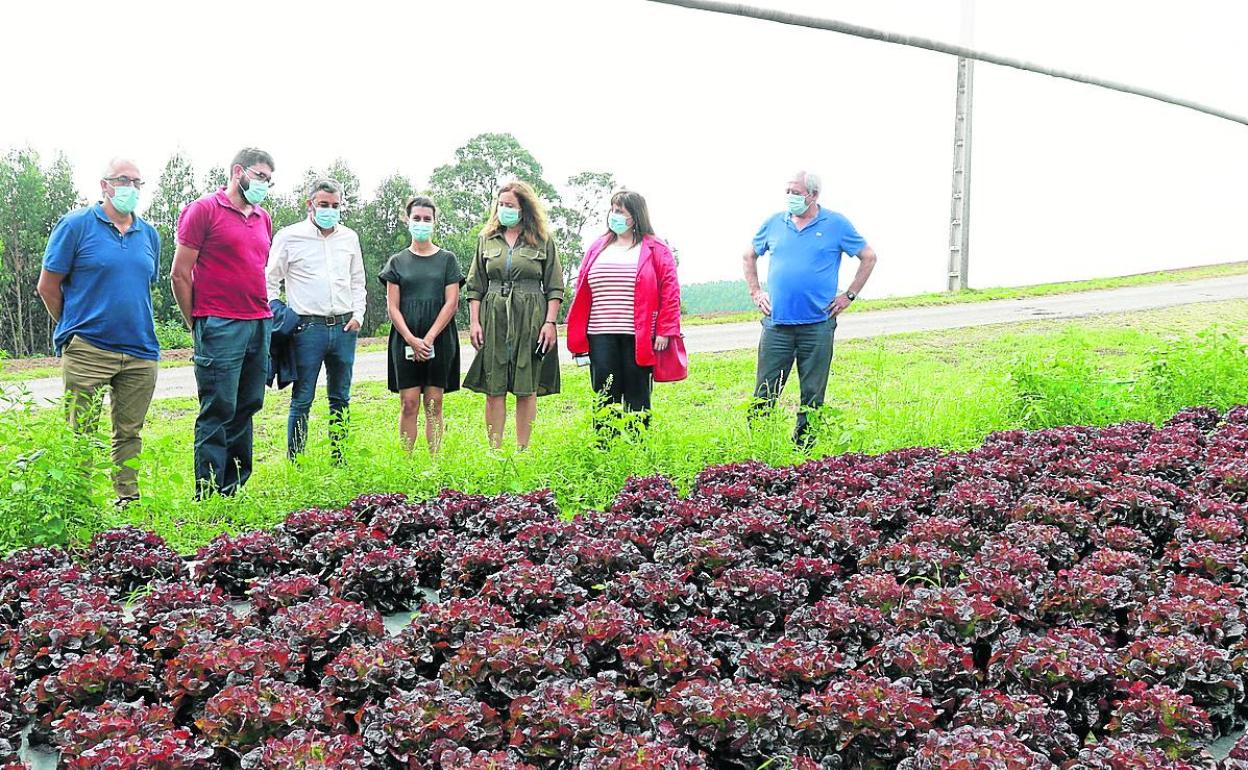 Fernando García (gerente de Adicap), Silverio Prendes, Alejandro Calvo, Gisela Fernández de Almeida, Begoña López (directora de Desarrollo Rural y Agroalimentación), Amelia Fernández y Jovino Prendes.