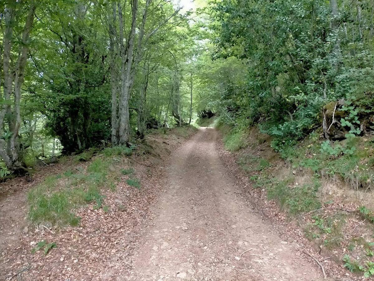 Fotos: Ruta desde Soto de Valdeón al Refugio de Vegabaño