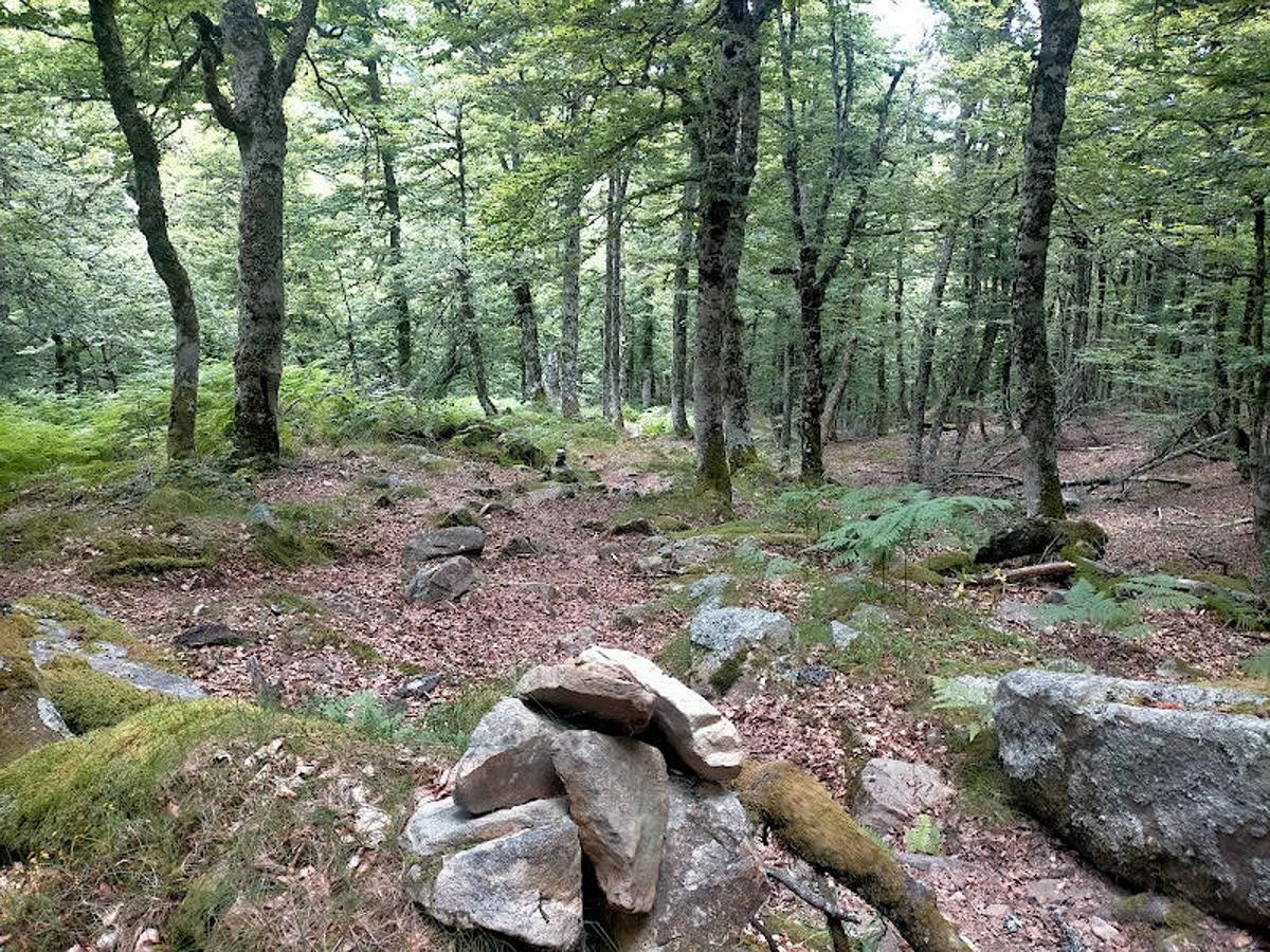 Fotos: Ruta desde Soto de Valdeón al Refugio de Vegabaño