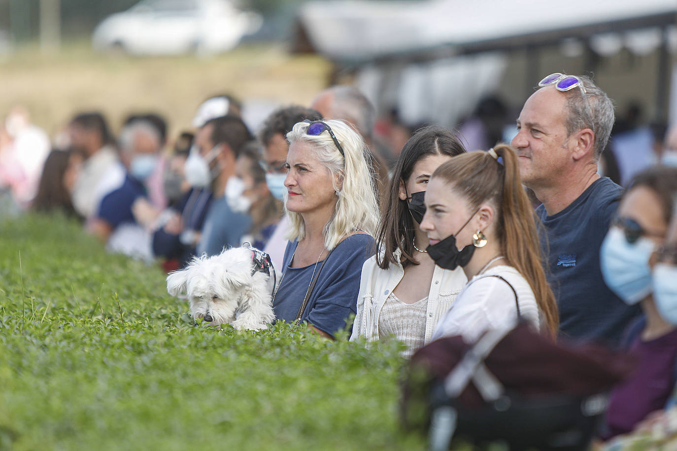 El circuito hípico gijonés regresó por segundo año consecutivo con varios concursos hípicos este verano como alternativa al concurso de saltos internacional de Las Mestas