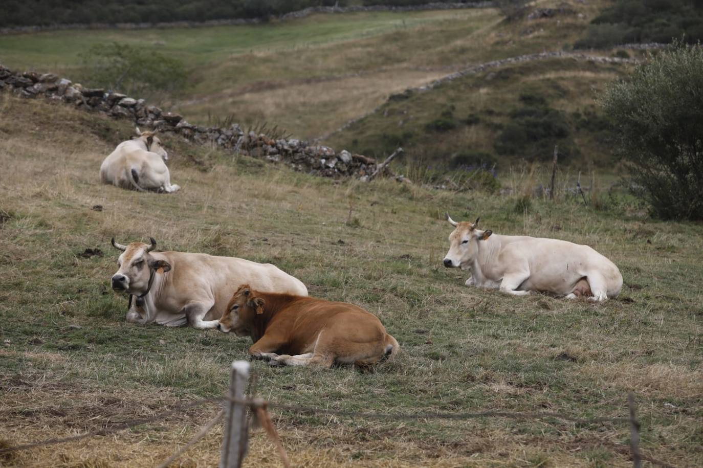 Fotos: La alegría de los vecinos de Santa María del Puerto