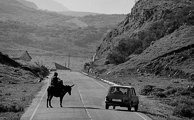 En la carretera de la localidad se encuentran un burro y un coche. 