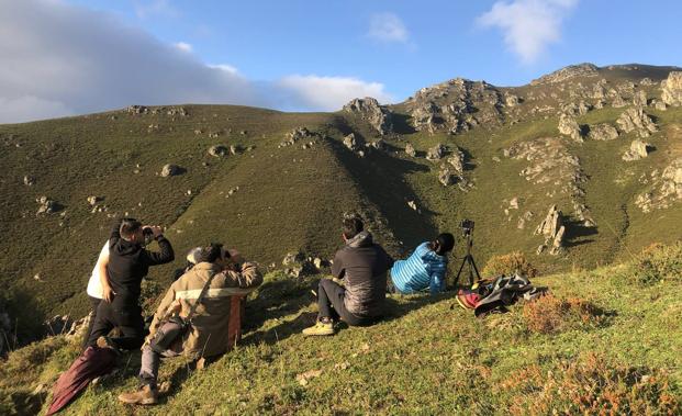 Un grupo, en plena observación de la berrea en Aller