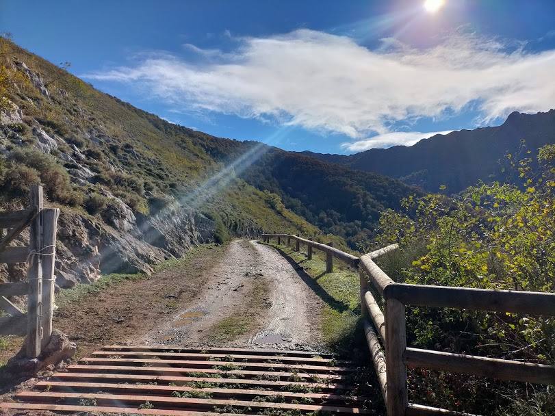 El Parque Natural de Redes cumple veinte años como Reserva de la Biosfera de la Unesco. Este título reconoce hecho de conciliar la conservación del patrimonio natural y cultural con el desarrollo sostenible de la población. 