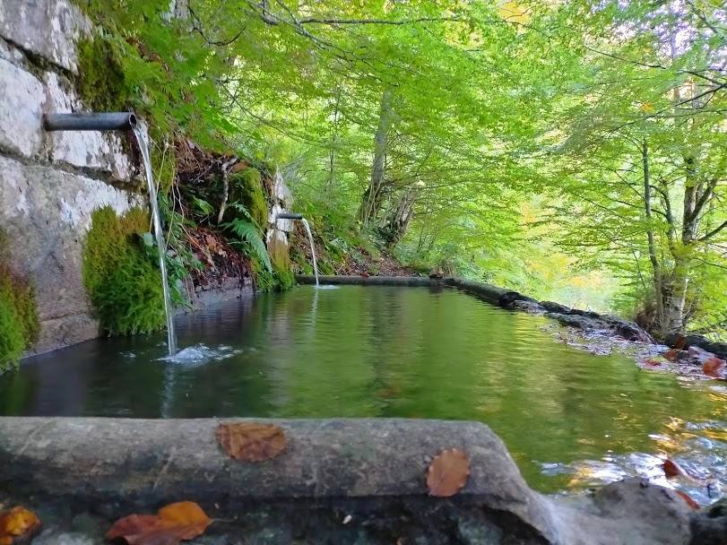 El Parque Natural de Redes cumple veinte años como Reserva de la Biosfera de la Unesco. Este título reconoce hecho de conciliar la conservación del patrimonio natural y cultural con el desarrollo sostenible de la población. 