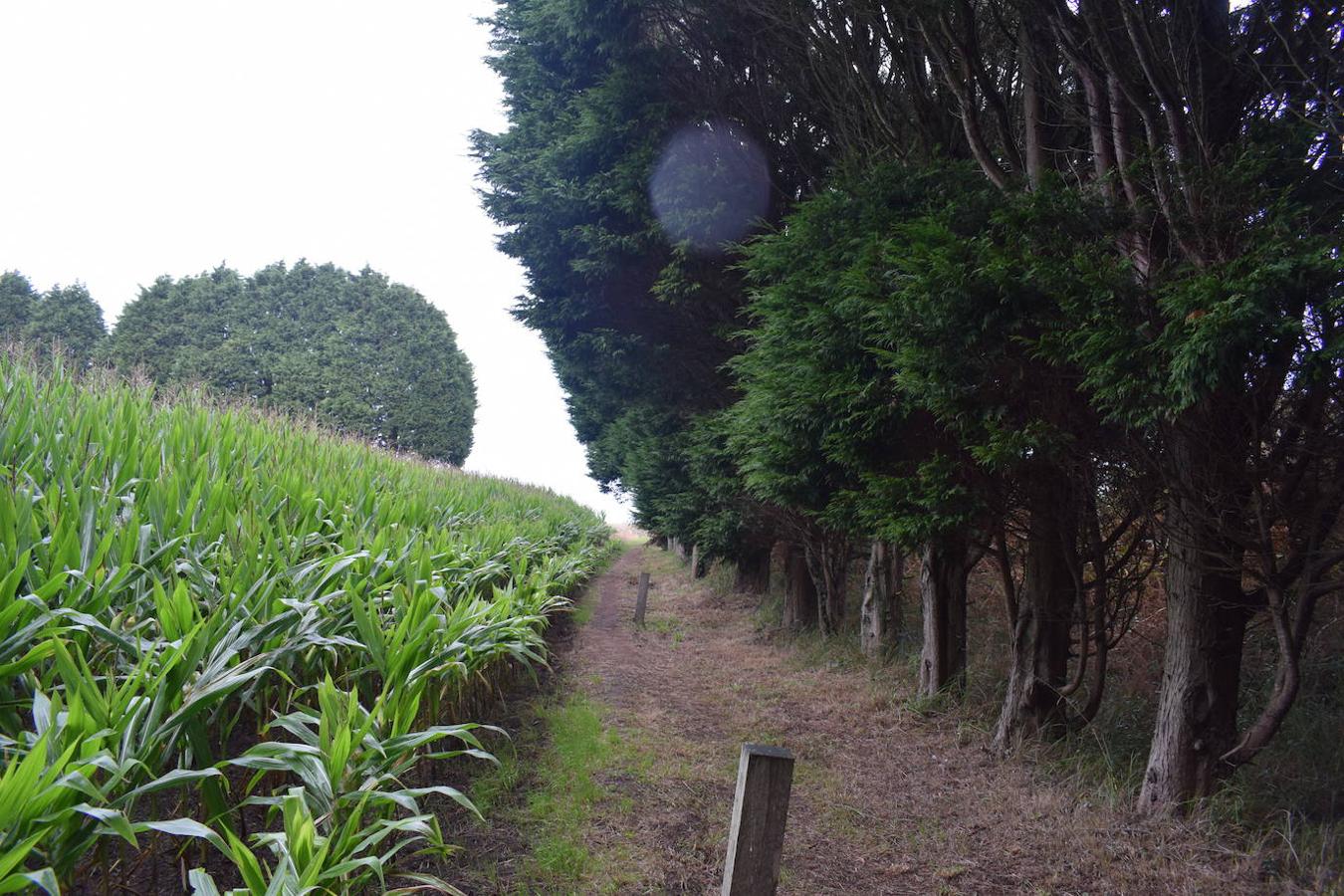 Fotos: Senda costera por el Cabo Busto