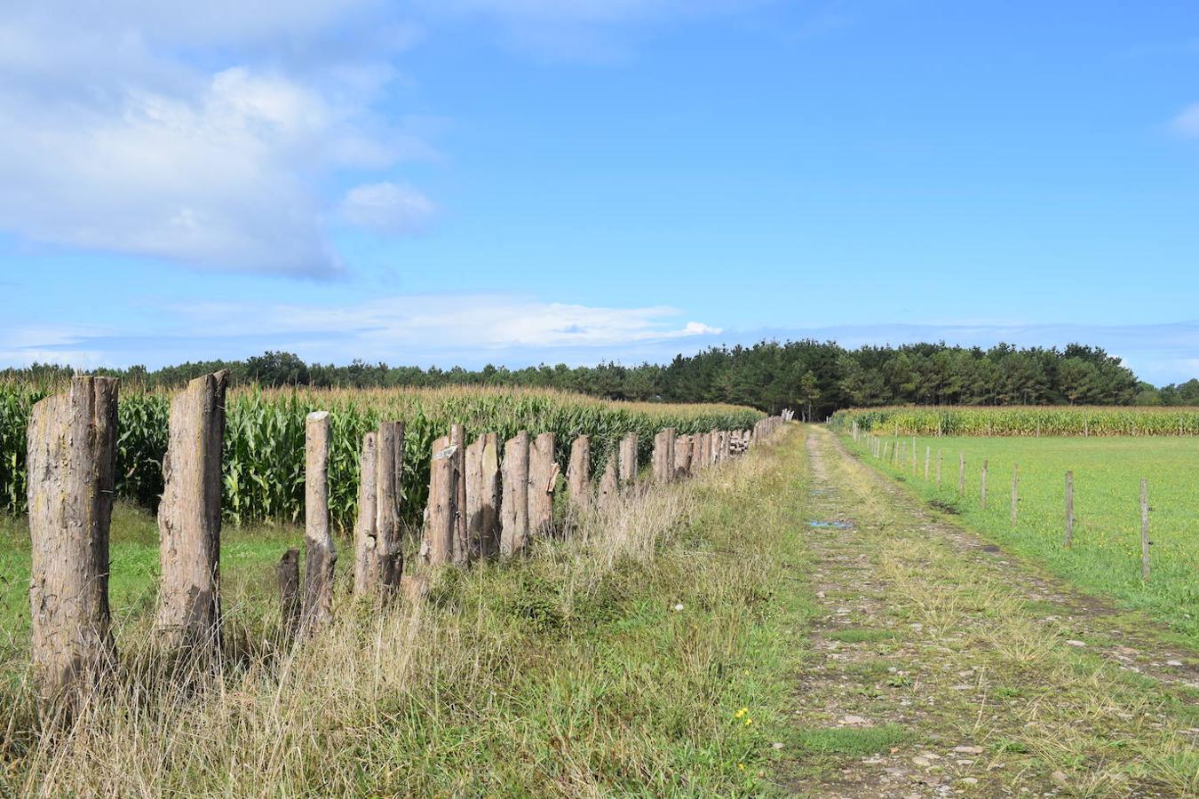 Fotos: Senda costera por el Cabo Busto