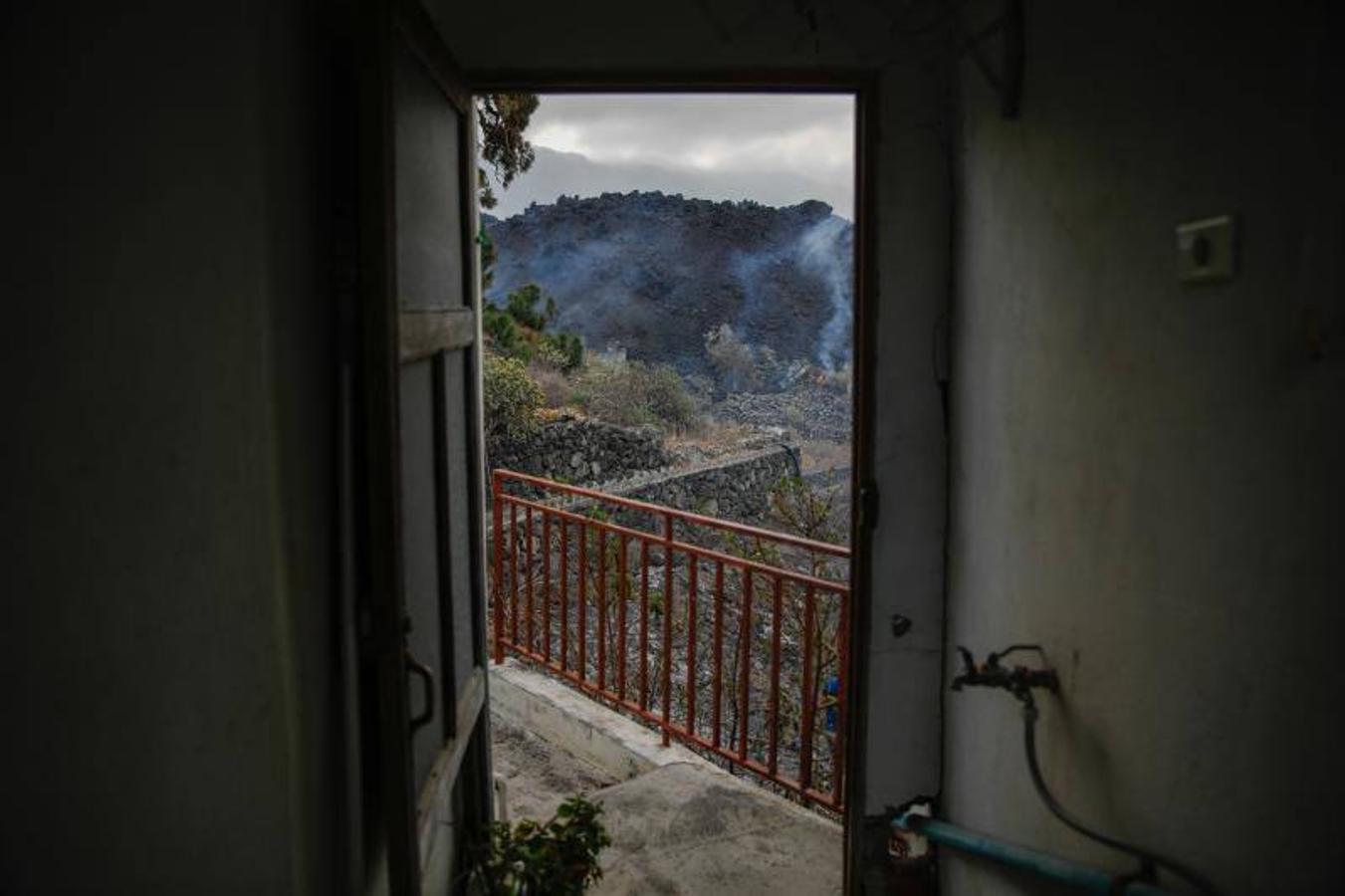 La lengua de lava del volcán de Cumbre Vieja, que entró en erupción el pasado domingo en La Palma, ha arrasado más de 166 hectáreas y centenares edificaciones. Aún sigue en fase explosiva y sus cenizas ya han llegado a la isla de La Gomera. La columna de gases de la erupción ya alcanza una altura de seis kilómetros sobre el nivel del mar. 