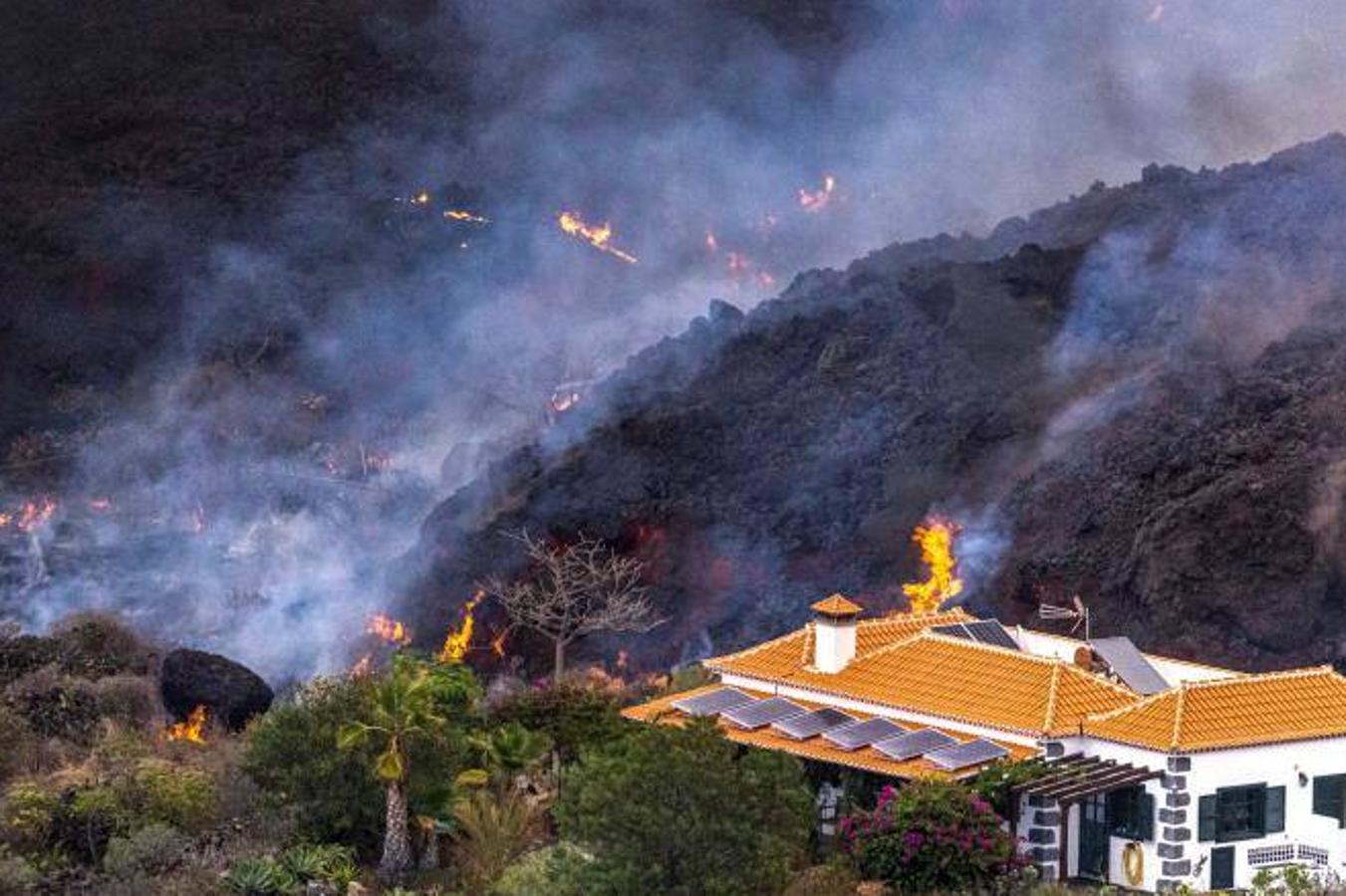 La lengua de lava del volcán de Cumbre Vieja, que entró en erupción el pasado domingo en La Palma, ha arrasado más de 166 hectáreas y centenares edificaciones. Aún sigue en fase explosiva y sus cenizas ya han llegado a la isla de La Gomera. La columna de gases de la erupción ya alcanza una altura de seis kilómetros sobre el nivel del mar. 