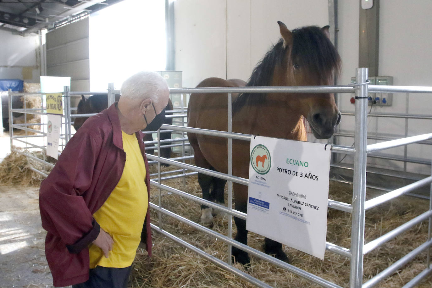 Estas son las mejores imágenes de la jornada de hoy en Agropec.