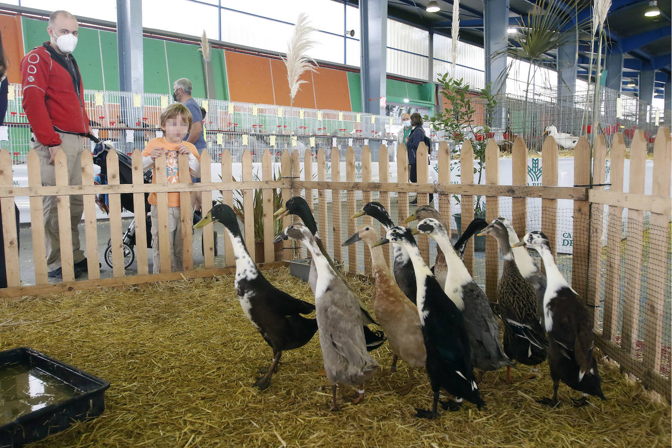 Estas son las mejores imágenes de la jornada de hoy en Agropec.