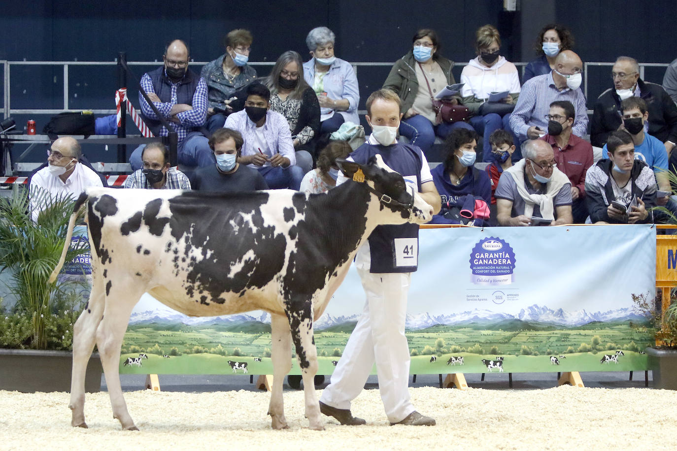 Estas son las mejores imágenes de la jornada de hoy en Agropec.