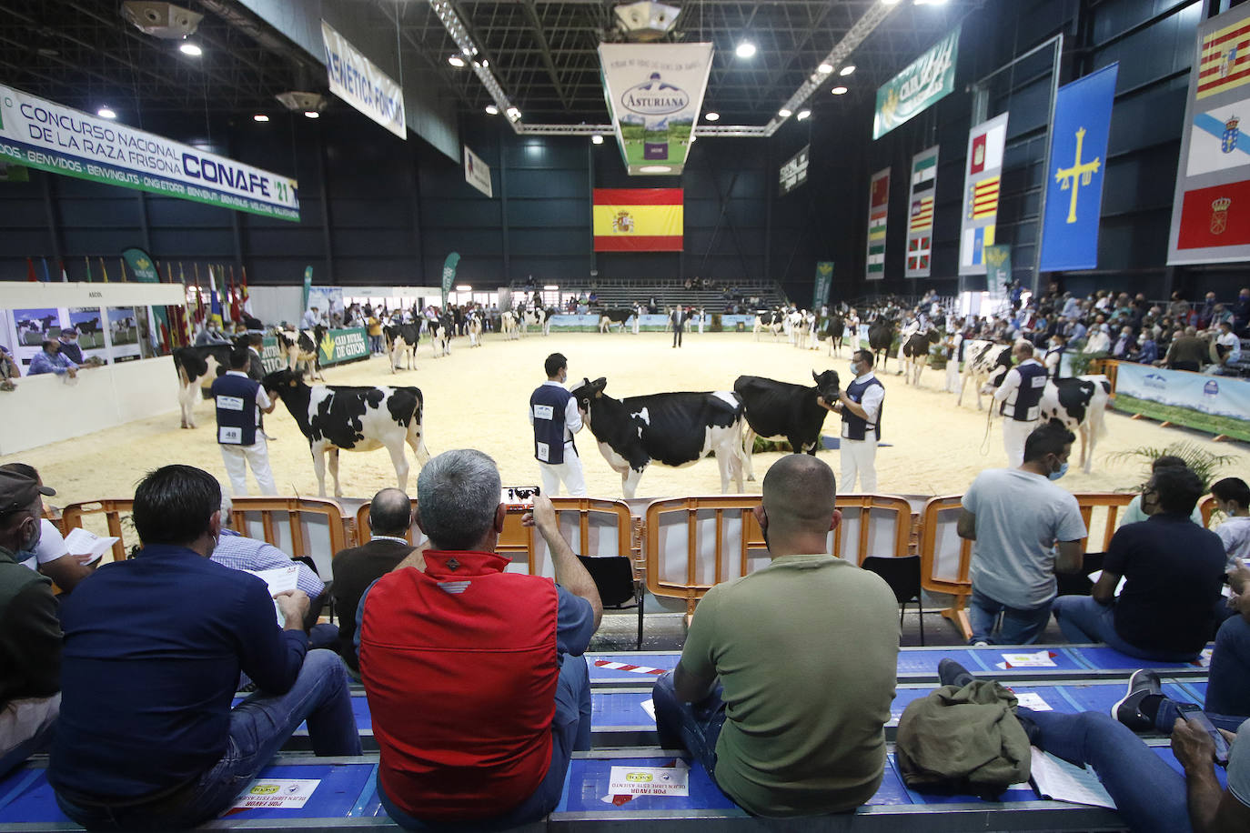 Estas son las mejores imágenes de la jornada de hoy en Agropec.