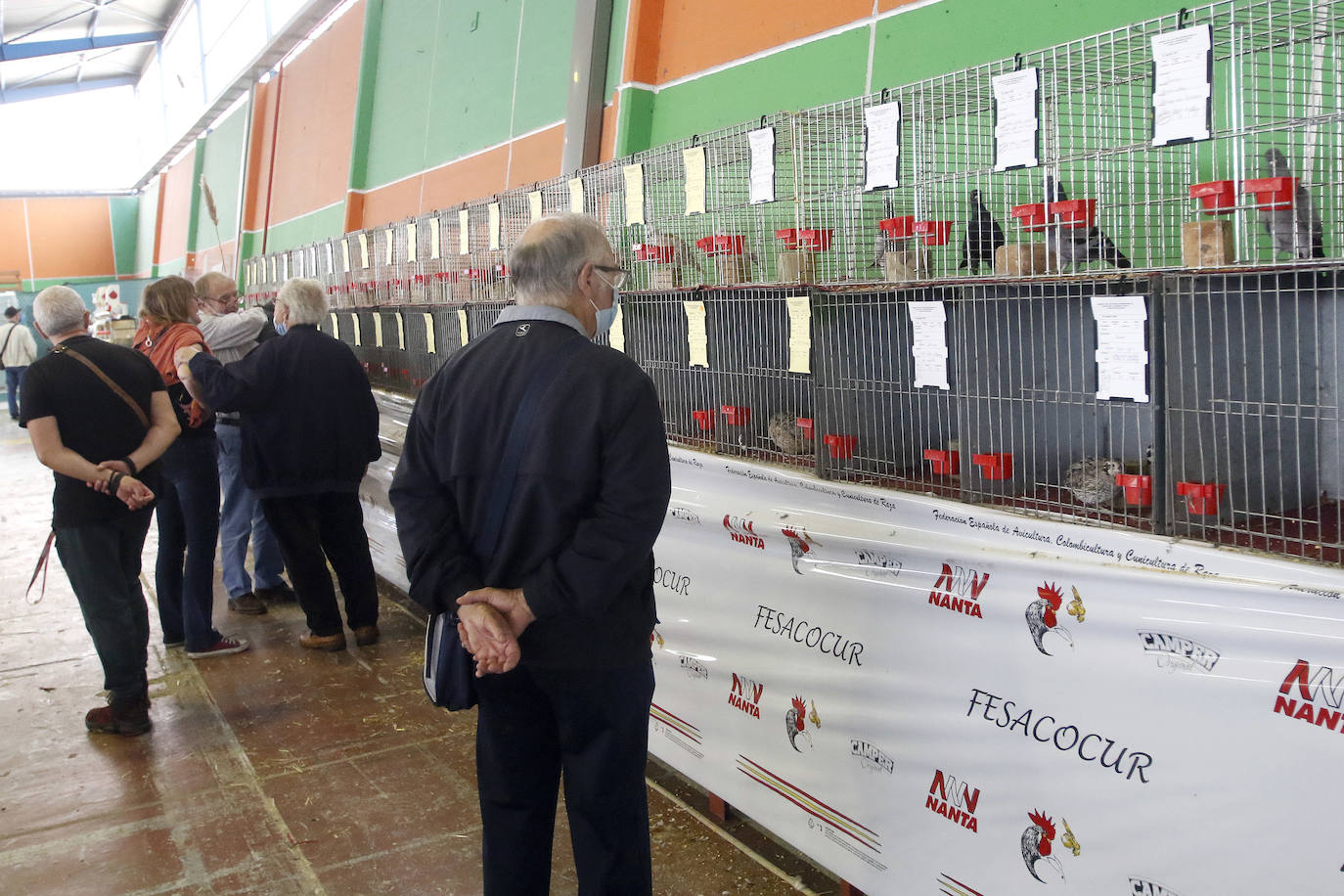 Estas son las mejores imágenes de la jornada de hoy en Agropec.