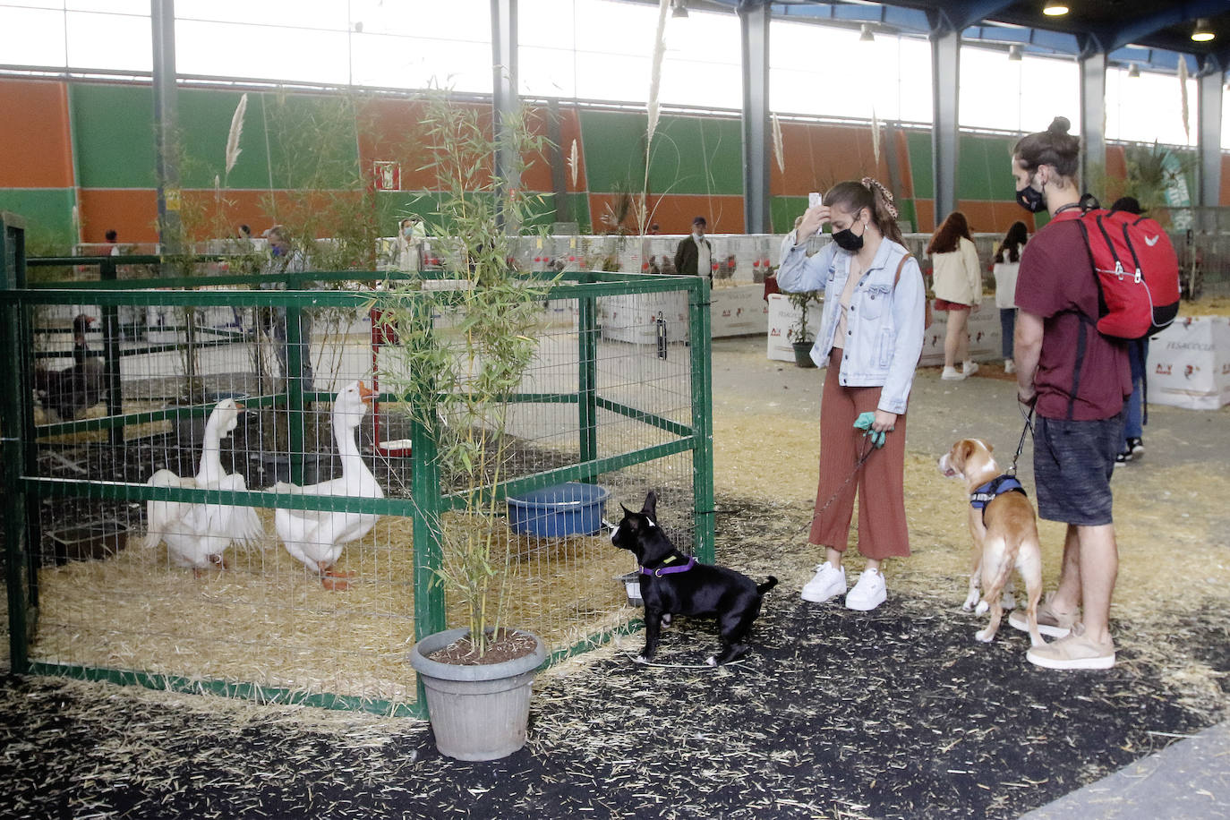 Estas son las mejores imágenes de la jornada de hoy en Agropec.