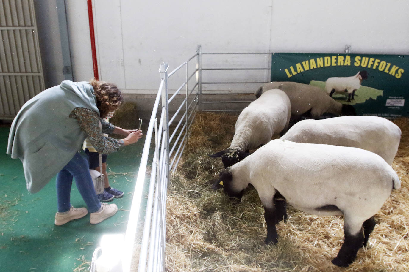 Estas son las mejores imágenes de la jornada de hoy en Agropec.