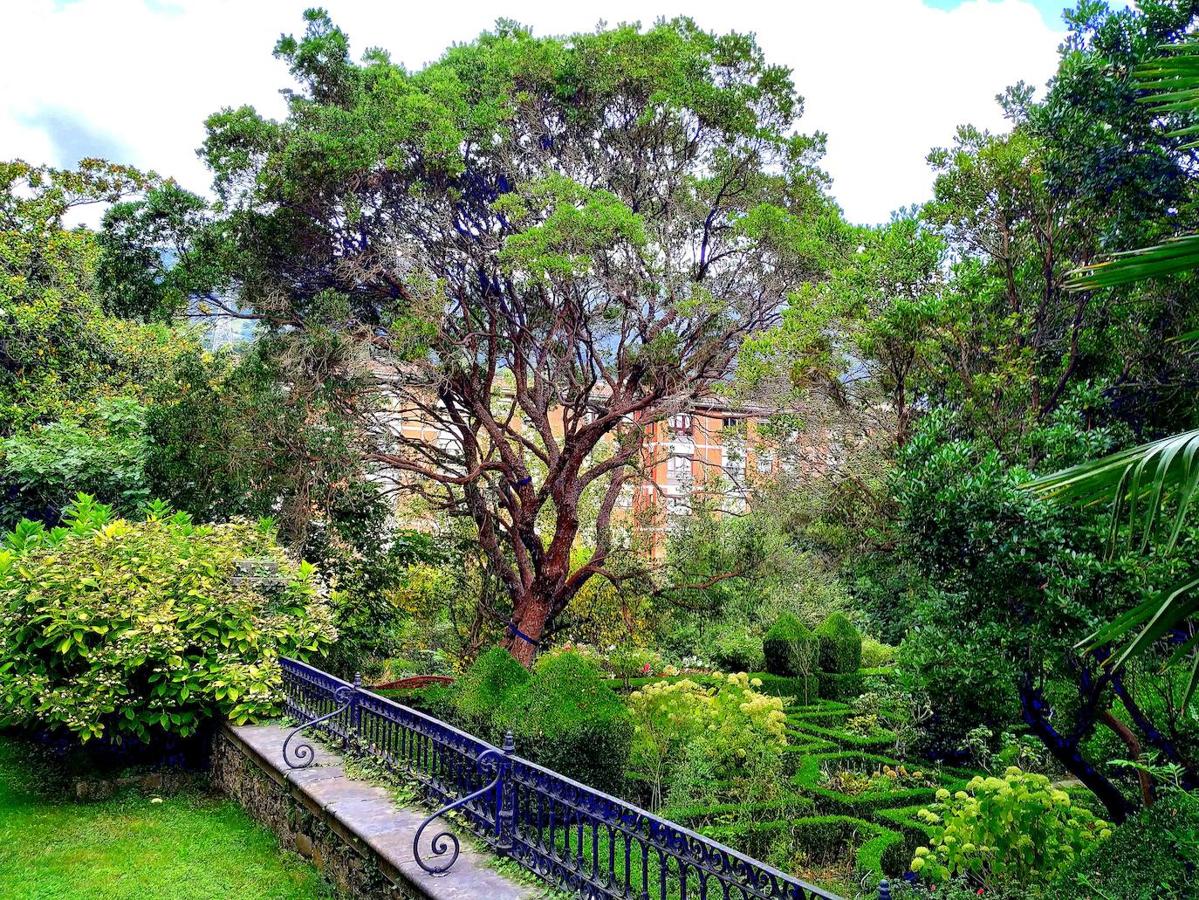 El jardín que la familia Regueral posee en Pola de Lena goza de un remoto contexto geohistórico. En la imagen, la vista del espectacular madroño