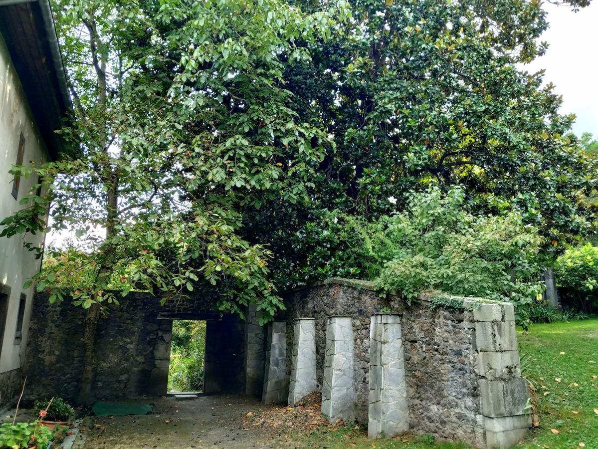 Contrafuertes que sostienen el plano elevado del jardín francés sobre el antiguo terreno de huerta rehecho por Isabel Oliveros González de regueral. Acceso al jardín nuevo frente a la cuadra de caballos y casa de guardeses. 