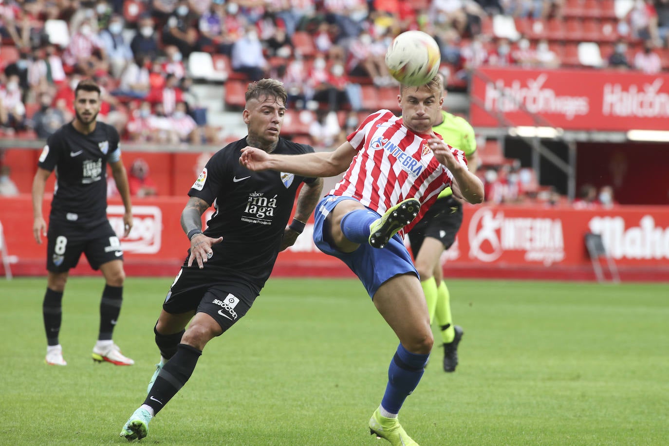 Fotos: Las mejores imágenes del Sporting - Málaga