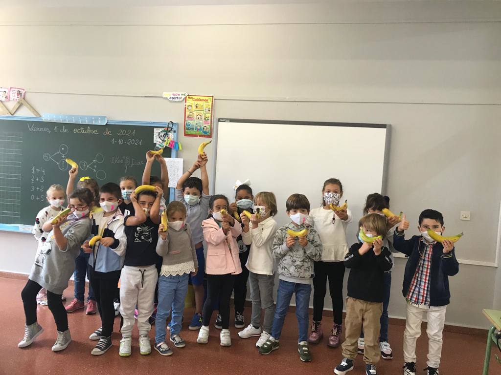 'Un plátano por La Palma'. Es el nombre de la iniciativa solidaria que ha puesto en marcha la Ampa del Colegio Público Cabueñes y a la que se están sumando otros muchos centros de la ciudad. Los niños han llevado al recreo un plátano canario para comérselo todos juntos en apoyo a los agricultores damnificados por la erupción del volcán en La Palma. 