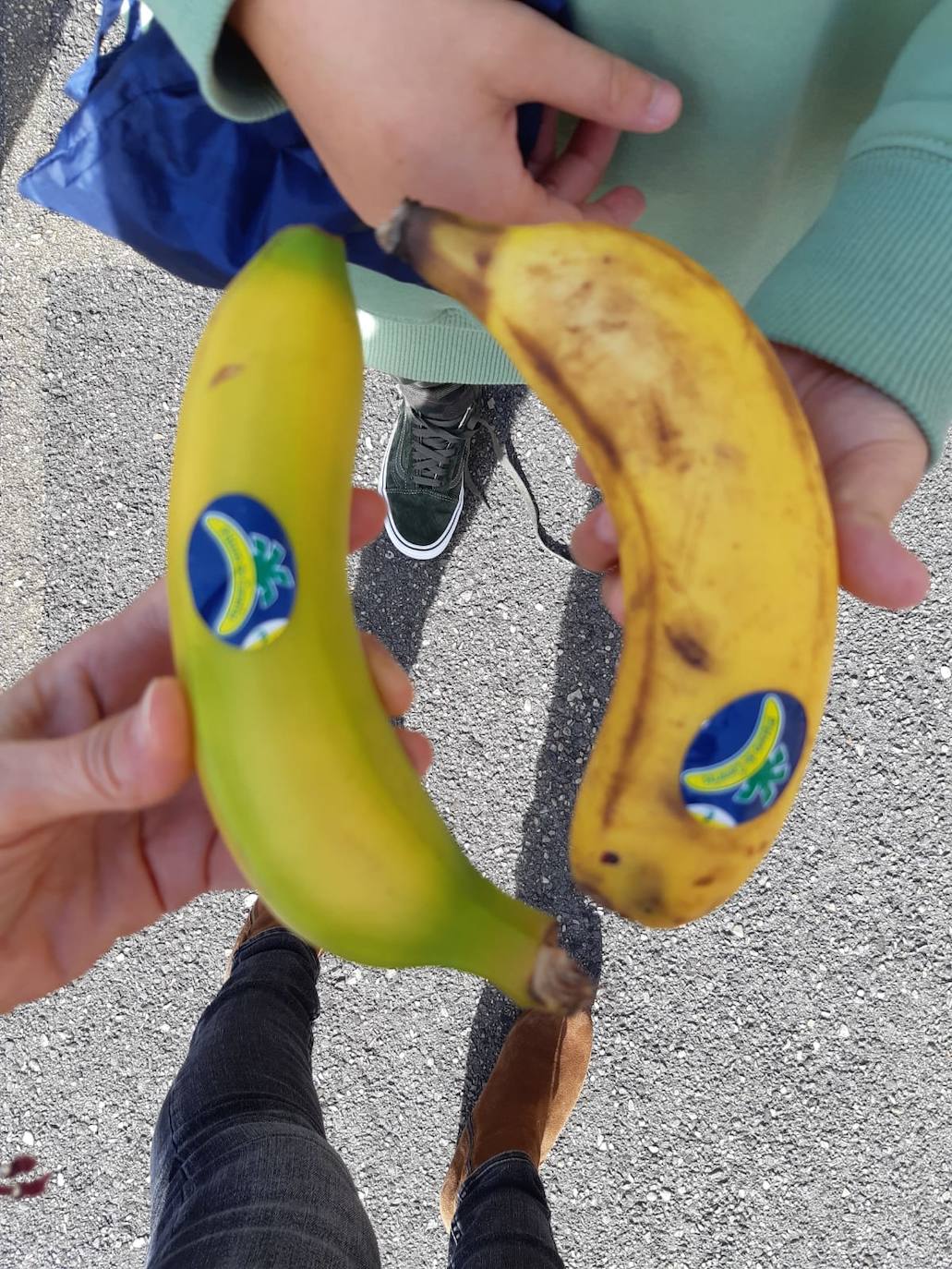 'Un plátano por La Palma'. Es el nombre de la iniciativa solidaria que ha puesto en marcha la Ampa del Colegio Público Cabueñes y a la que se están sumando otros muchos centros de la ciudad. Los niños han llevado al recreo un plátano canario para comérselo todos juntos en apoyo a los agricultores damnificados por la erupción del volcán en La Palma. 