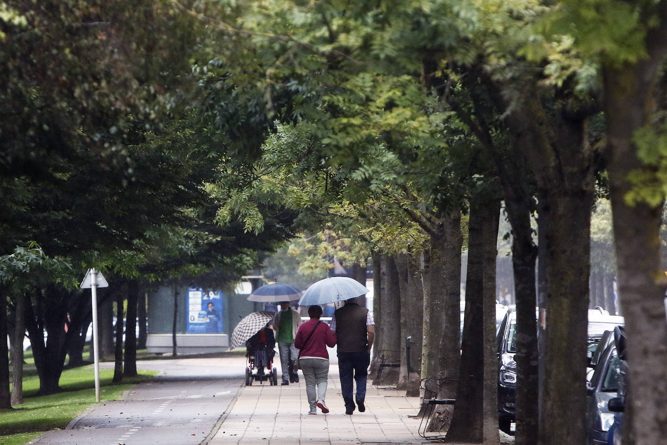 Las mejores instantáneas de este otoño que comienza han sido captadas por los fotógrafos: Mario Rojas, Pablo Lorenzana, Juan Carlos Román, Omar Antuña, Paloma Ucha, Juan Carlos Tuero y Xuan Cueto.
