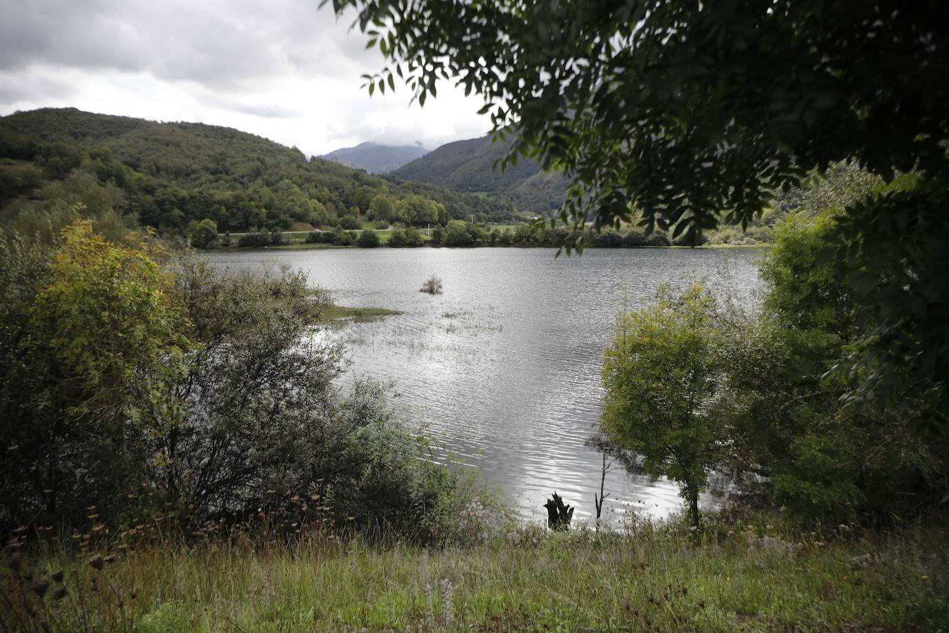 Las mejores instantáneas de este otoño que comienza han sido captadas por los fotógrafos: Mario Rojas, Pablo Lorenzana, Juan Carlos Román, Omar Antuña, Paloma Ucha, Juan Carlos Tuero y Xuan Cueto.
