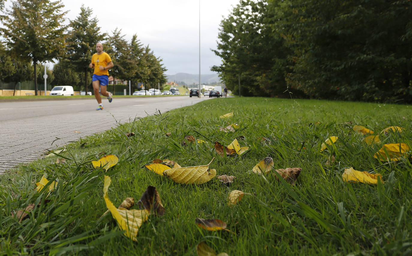 Las mejores instantáneas de este otoño que comienza han sido captadas por los fotógrafos: Mario Rojas, Pablo Lorenzana, Juan Carlos Román, Omar Antuña, Paloma Ucha, Juan Carlos Tuero y Xuan Cueto.